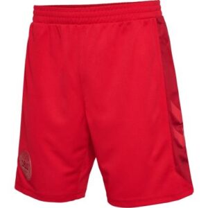Dänemark Kinder WM Shorts 2022-23