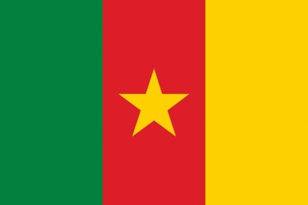 Fahne Kamerun